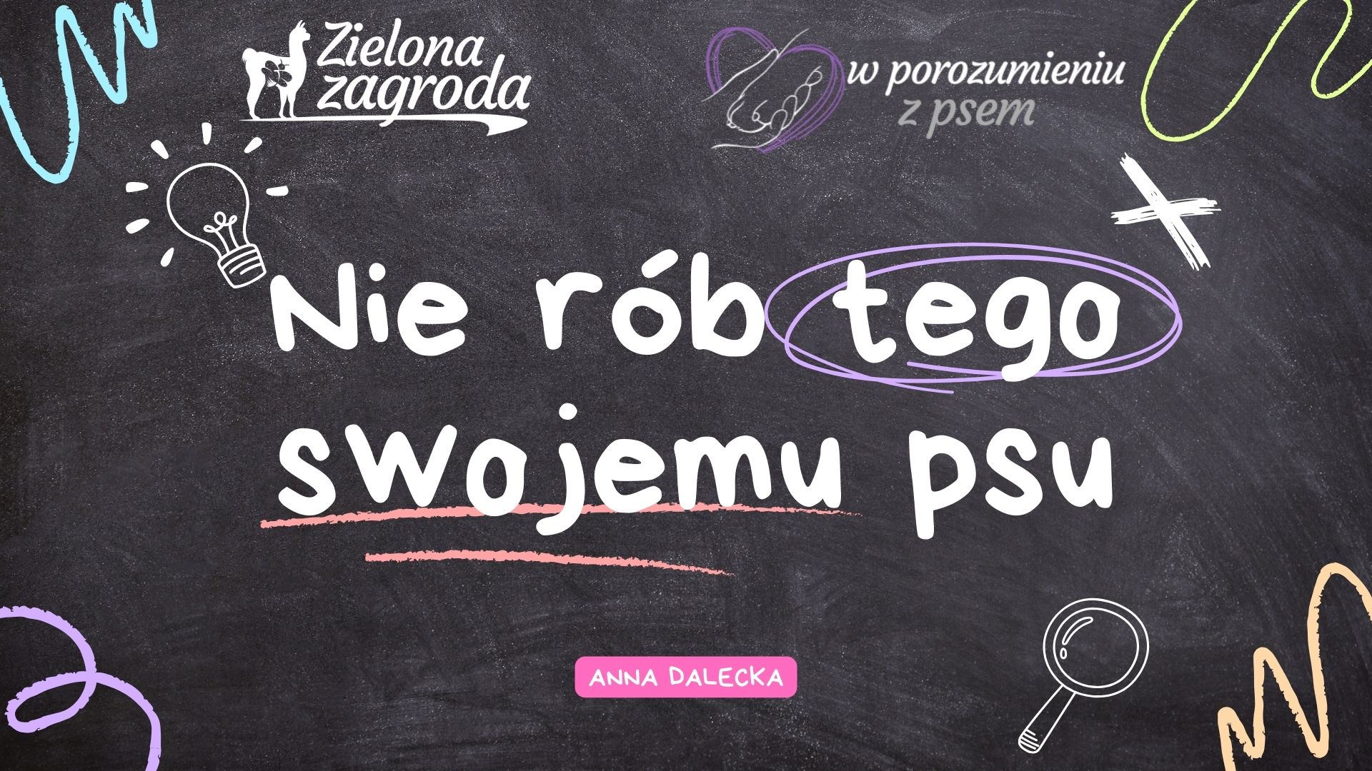 W porozumieniu z psem – Nie rób tego swojemu psu! (zapis webinaru)